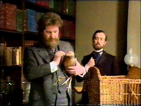 Pasteur, Koch and Lister - Germs!