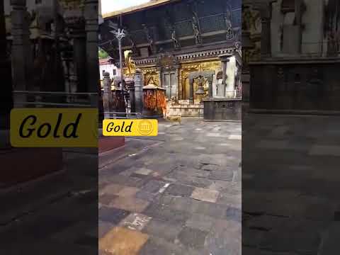 gold plated gate pashupati nath temple #shorts #viral #trending