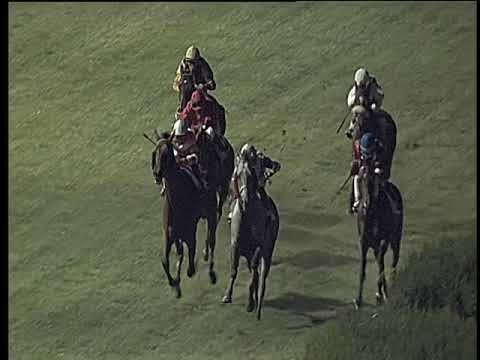 Galoppo 07/08/2019 - 6ª corsa