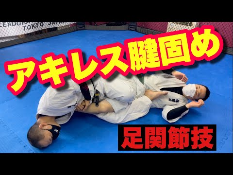今さら聞けない寝技の基本#10 【アキレス腱固め 足関節技のやり方 コツ】総合格闘技 空手道禅道会 柔術 MMA グラップリング