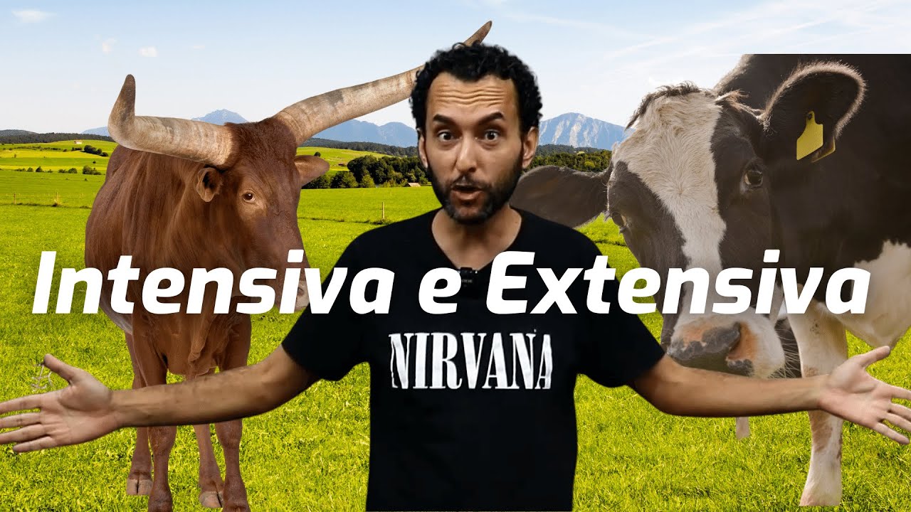 O que é criação INTENSIVA e EXTENSIVA | GEOGRAFIA |