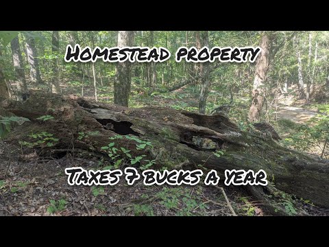 #112 ATAP... Sn3 Ep58 Taxes $7 a year Off Grid Homestead, Houseboat and RV Safe So We Can Sail Away.