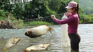 Fishing Techniques, How To Catch Fish In The Wild, Traditional Fishing with Net Catch a Lots of Fish