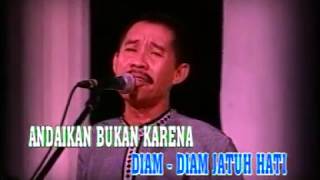 Download lagu D'Lloyd - Diam Diam Jatuh Cinta mp3