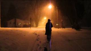 "Snow Snow"- The Mosstins (Pete Seeger)
