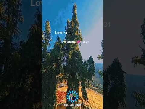 love you Daporjugh so short video 2024/#mini vlog sanjit