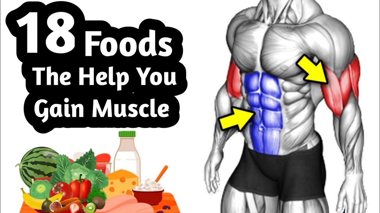 18 Foods Tha Help You Gain Muscle | Best Food for Muscle Building