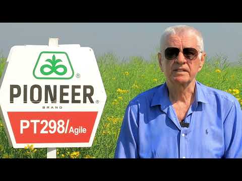 Testimonial Balcan Vasile - AGROMEC ROMAN SA - despre hibridul de rapita PT298