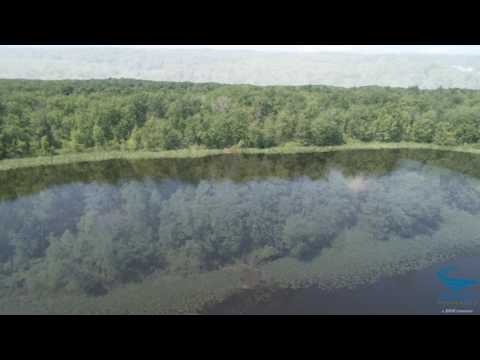 300 Acres of Undeveloped Land Around Yellow Lake in Berrien County, Michigan