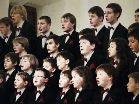 DAGILELIS TYLI NAKTIS