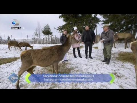 ROventura (29.01.2022) - Pe urmele a peste 200 de ani de istorie!