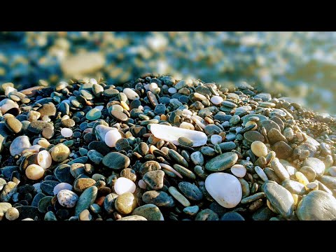 Hela & Fido 3rd birthdays