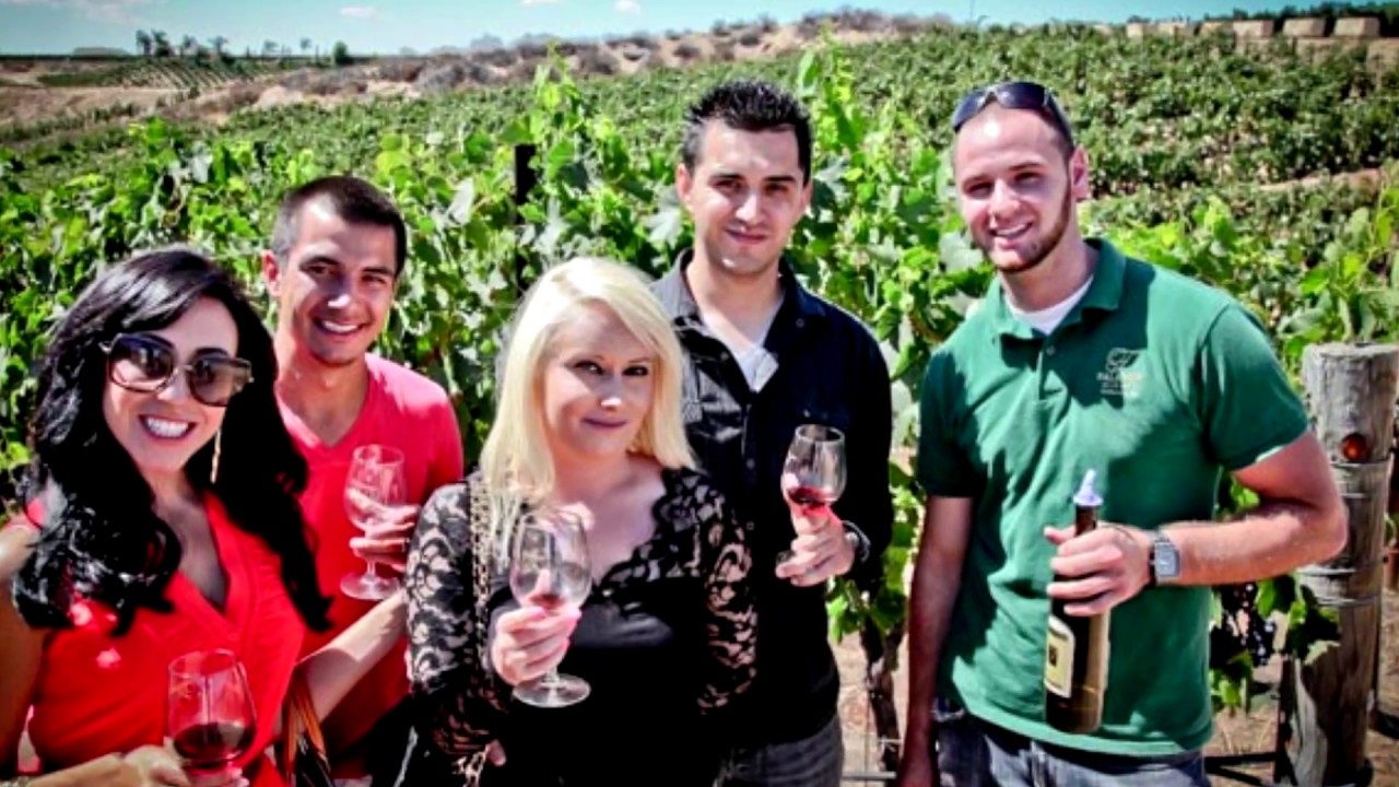 wine tours temecula party bus