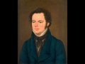 Schubert - Winterreise D.911 - 21 - Das wirtshaus