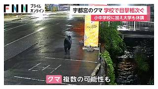 宇都宮中心部でクマ目撃相次ぎ宇都宮大学の全学部が休講に　市内の小中学校で休校続きオンライン授業も（2026年06月09日）