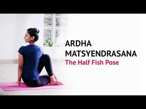 Ardha Matsyendrasana | The Half Fish Pose | Steps | Benefits | Yogic Fitness