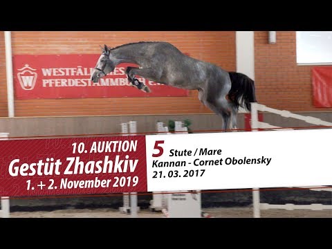 05 Stute / Mare v. Kannan - Cornet Obolensky