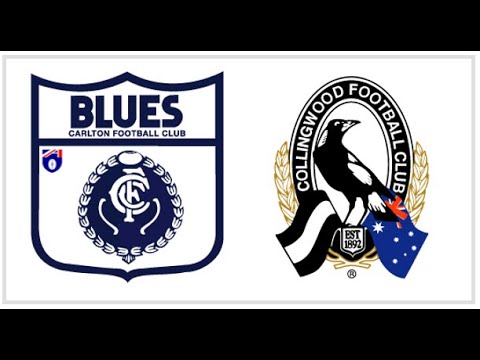 Carlton v Collingwood - AFL Round 21, 1993