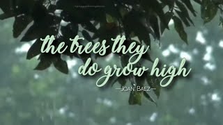 vietsub | lyrics | The Trees They Do Grow High - Joan Baez