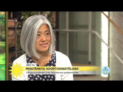 Misstänkta adoptionsstölder – hundratals barn kan ha stulits från sina föräldra - Nyhetsmorgon (TV4)