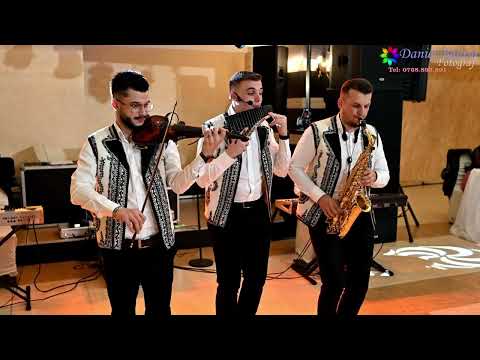 Trupa ART - Program Instrumental