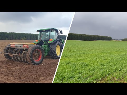 Sowing Oats and Barley in the Limestone Coast of South Australia