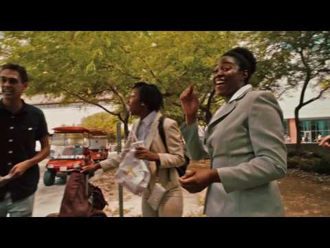 Torn & Restored Transpo by David Williamson / SEO MAGIC