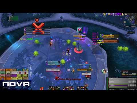 Nova vs Mythic High Botanist Tel'Arn Spriest PoV