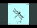 Dragonflies