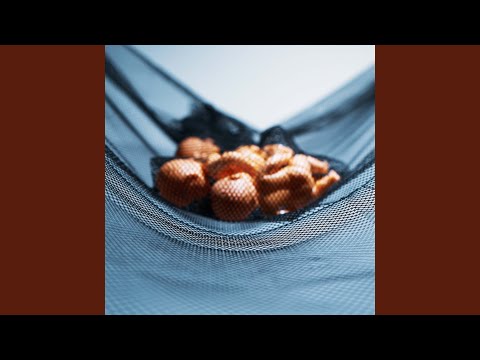 CARGO NET