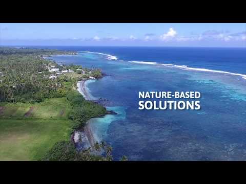 Leveraging Nature-Based Solutions for Resilience