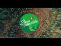 I Need Swisstainable Switzerland Tourism
