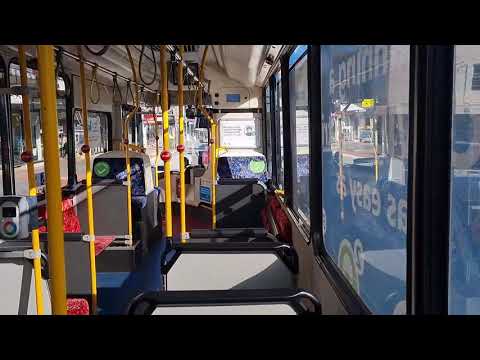 Loud ZF Ecomat - Sydney Buses 2471 ST - Scania K280UB.