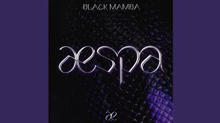Download lagu 블랙 맘바 (Black Mamba) mp3