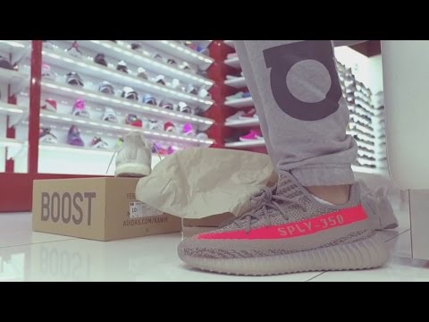 adidas Yeezy Boost 350 V2 Release at Shoe Palace in San Jose, CA