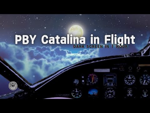 PBY Catalina in Flight ⨀ 12 Hours of Soothing Engine Drone for Deep Sleep & Focus 💤