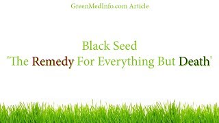 Black Seed - 'The Remedy For Everything But Death' 