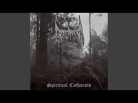 Black Metal Is the Forest Calling‚Ä¶