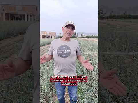 Estas perdiendo un día de vivir acá 🏠🌳