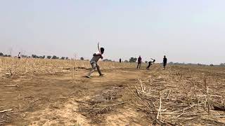 #cricket on agriculture field