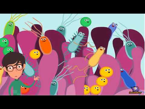 Pitch   Renato Elias