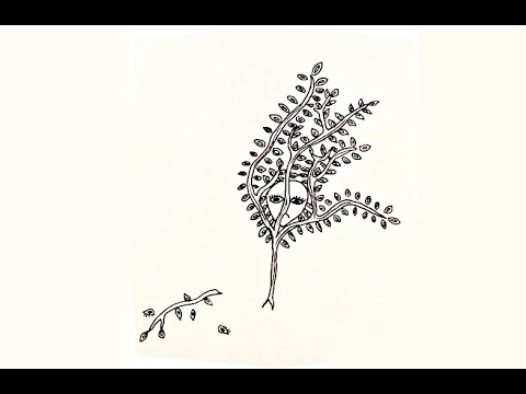 aga080801’s Video 137518473489 51IxgmVVoPs