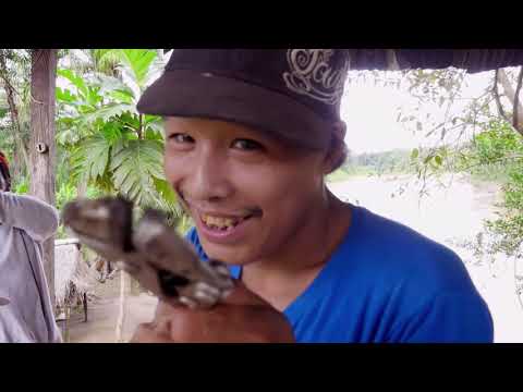 Das Ende von Eden Doku (2017)