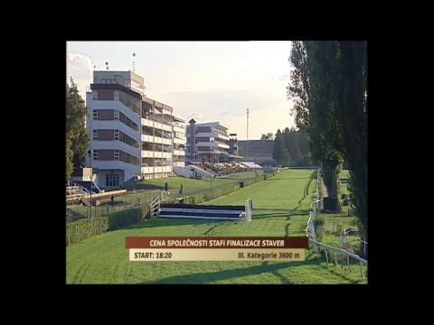 Dostihy Pardubice – živé vysílání