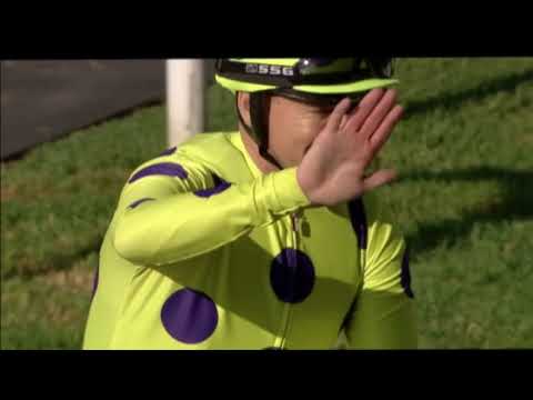 CLASSIC DAY. LEGAL EAGLE, LOBO'S LEGEND, TAKINGTHEPEACE