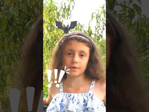 🦇 მითია თუ რეალობა, რომ ღამურები თმაში გვაფრინდებიან? 🦇