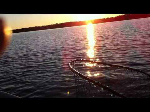 Kalassa 14.6.2012 tasan 4 Kg  Hauki