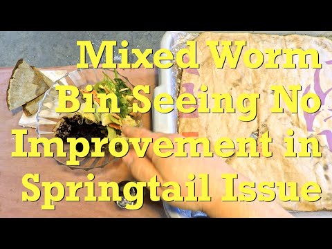 Diatomaceous Earth vs springtails seems ineffective in mixed red worm bin - vermicompost