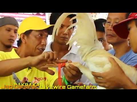 TAMANG PAGTATARI BY BOSS JAP GAGALAC