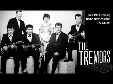 Move It (Cliff and The Shadows Cover) By The Tremors in 1963.